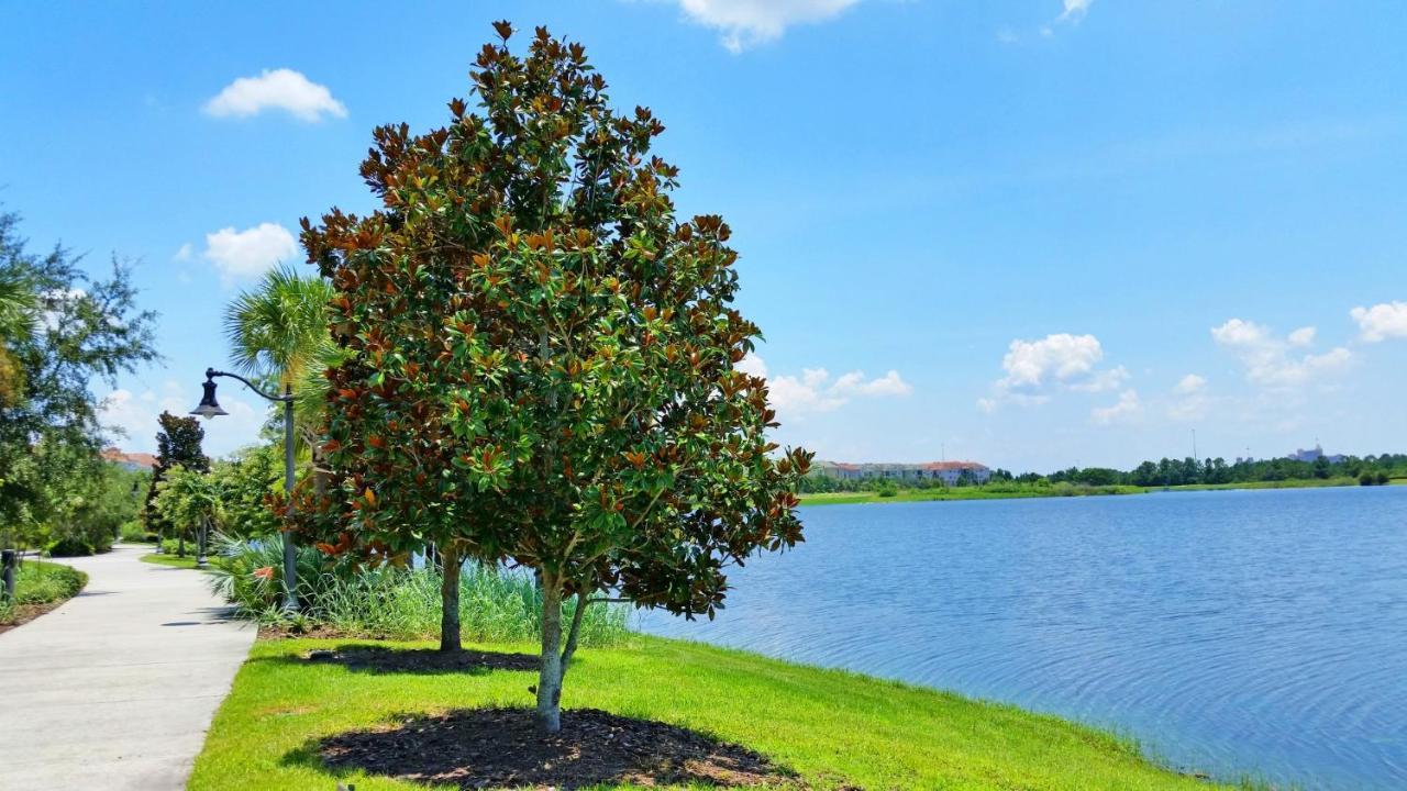 Stunning Top-Floor Condo, Next To Clubhouse Orlando Exteriér fotografie